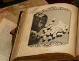 Globuli-Buch