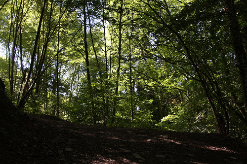 Gorges du Chauderon