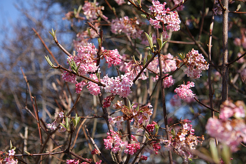 Frühling 2008 51