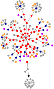 flower graph of ag1.de