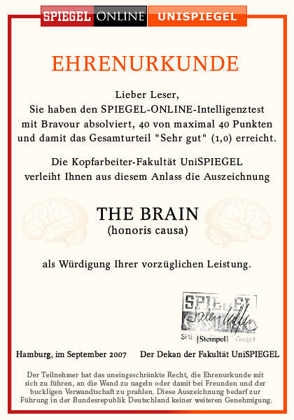 The Brain - Certificate with grade A with 40 of 40 points from Spiegel Online