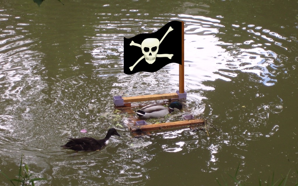 24: Pirates Ahoy!