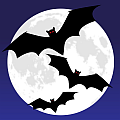 Bats + Moon