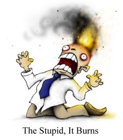 The stupid, it burns