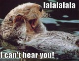 funny-pictures-beaver-cant-hear-you