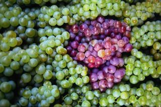 einige rote Weintrauben inmitten weißer Weintrauben