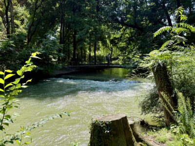 Fußgängerbrücke über einen Bach mit Stromschnellen, viel Grün drumrum